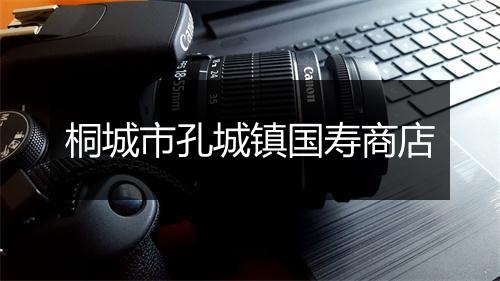 桐城市孔城镇国寿商店