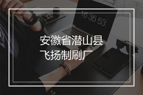 安徽省潜山县飞扬制刷厂