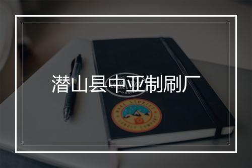 潜山县中亚制刷厂