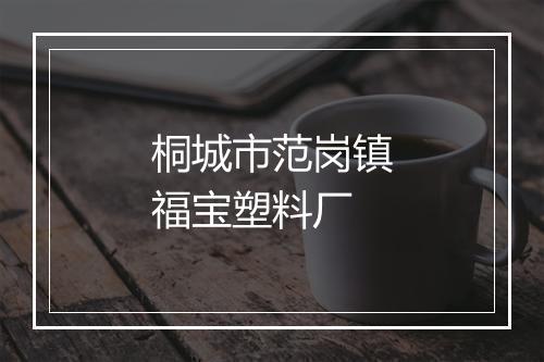 桐城市范岗镇福宝塑料厂