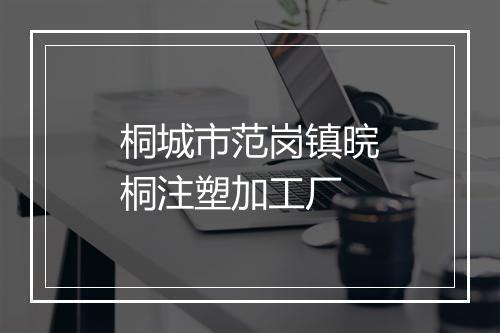 桐城市范岗镇晥桐注塑加工厂