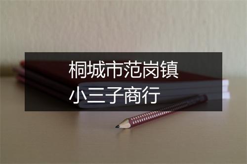 桐城市范岗镇小三子商行