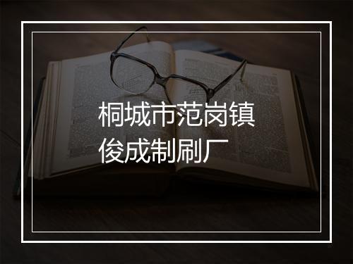 桐城市范岗镇俊成制刷厂
