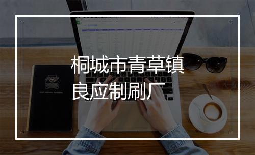 桐城市青草镇良应制刷厂