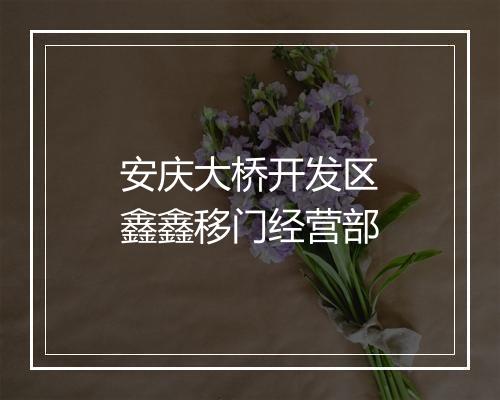 安庆大桥开发区鑫鑫移门经营部