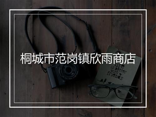 桐城市范岗镇欣雨商店