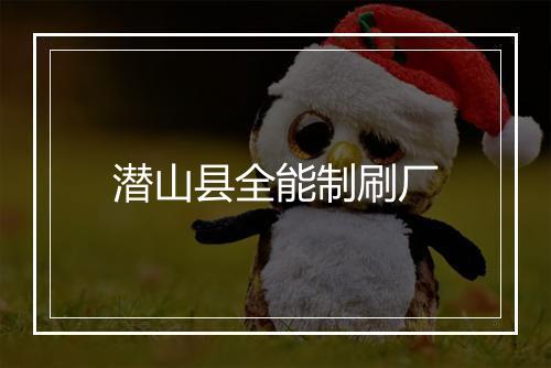 潜山县全能制刷厂