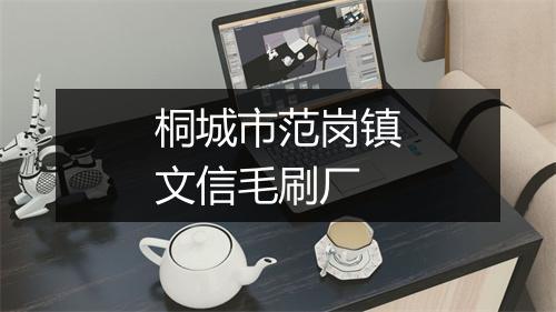 桐城市范岗镇文信毛刷厂
