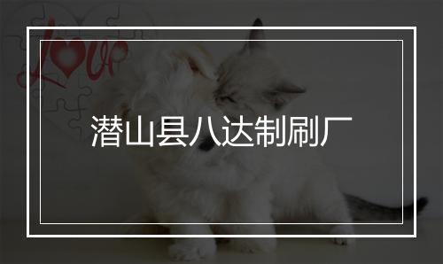 潜山县八达制刷厂