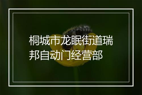 桐城市龙眠街道瑞邦自动门经营部