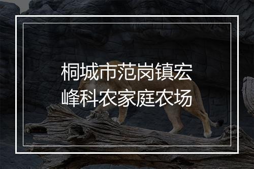桐城市范岗镇宏峰科农家庭农场