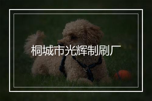 桐城市光辉制刷厂