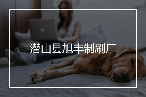潜山县旭丰制刷厂