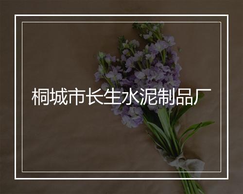 桐城市长生水泥制品厂