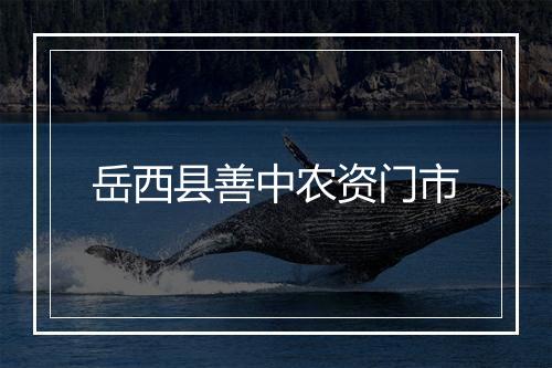 岳西县善中农资门市