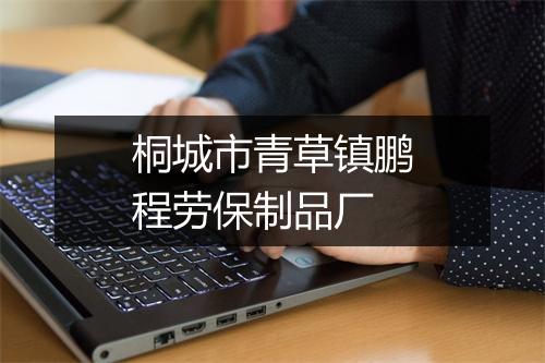 桐城市青草镇鹏程劳保制品厂