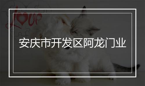 安庆市开发区阿龙门业