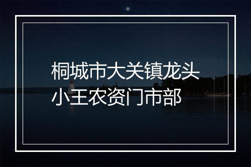 桐城市大关镇龙头小王农资门市部