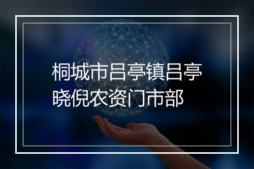 桐城市吕亭镇吕亭晓倪农资门市部