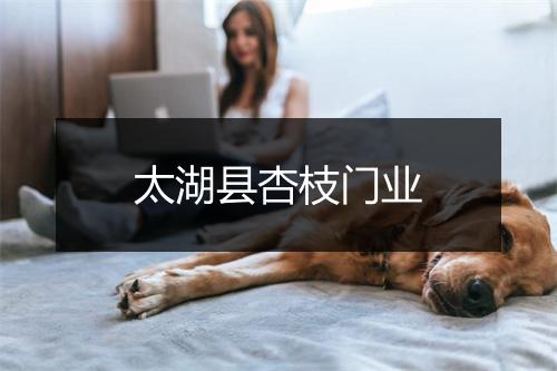 太湖县杏枝门业