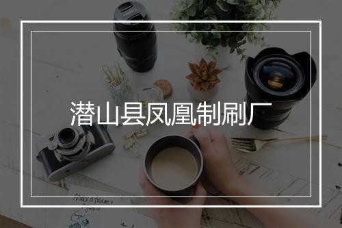 潜山县凤凰制刷厂