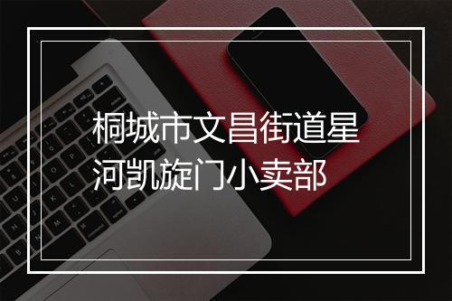 桐城市文昌街道星河凯旋门小卖部