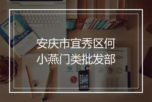安庆市宜秀区何小燕门类批发部