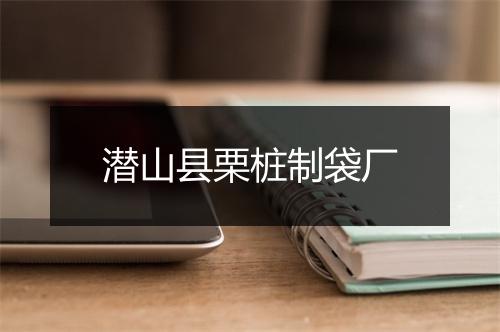 潜山县栗桩制袋厂