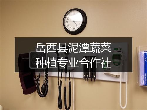 岳西县泥潭蔬菜种植专业合作社