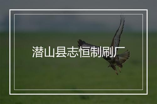 潜山县志恒制刷厂