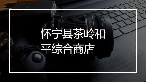 怀宁县茶岭和平综合商店