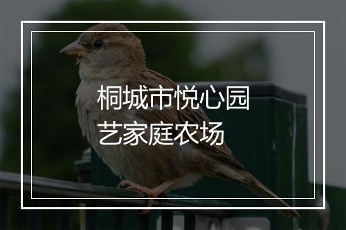 桐城市悦心园艺家庭农场