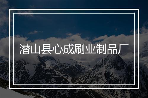 潜山县心成刷业制品厂