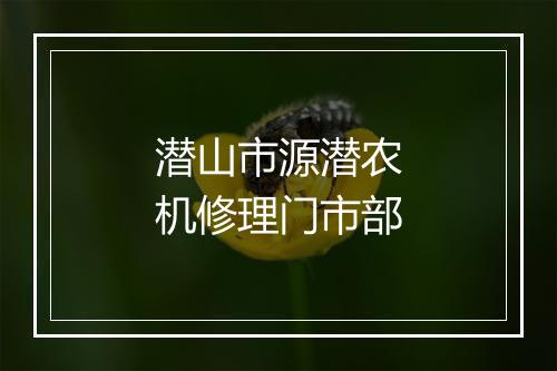 潜山市源潜农机修理门市部