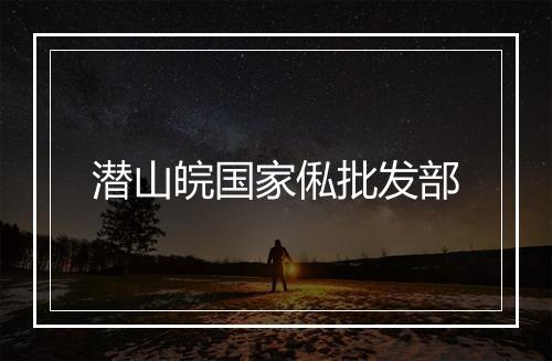 潜山皖国家俬批发部