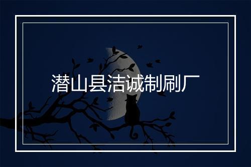 潜山县洁诚制刷厂