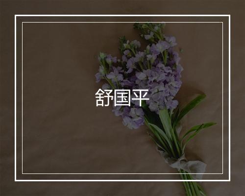 舒国平