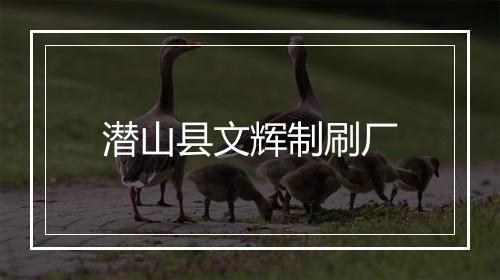 潜山县文辉制刷厂