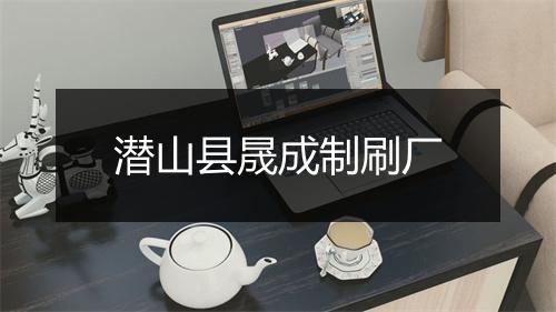 潜山县晟成制刷厂