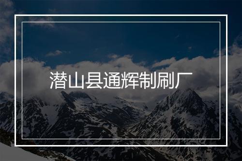 潜山县通辉制刷厂
