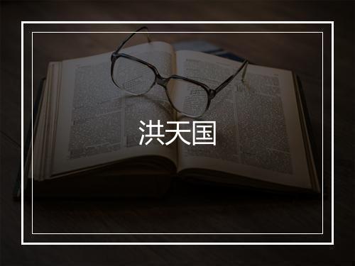 洪天国