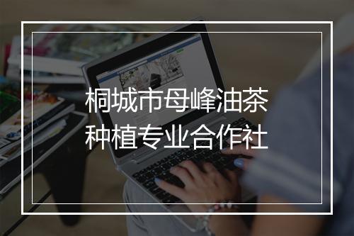 桐城市母峰油茶种植专业合作社