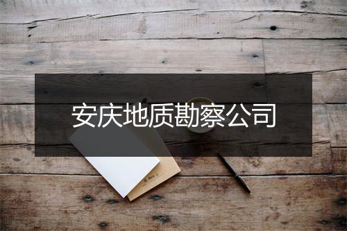 安庆地质勘察公司