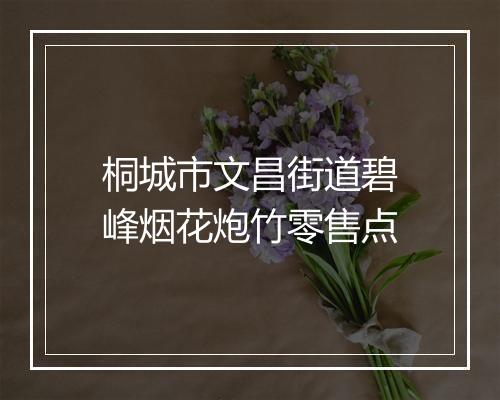 桐城市文昌街道碧峰烟花炮竹零售点