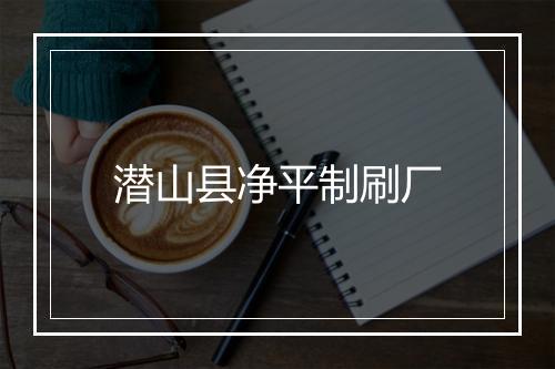 潜山县净平制刷厂