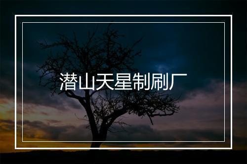 潜山天星制刷厂