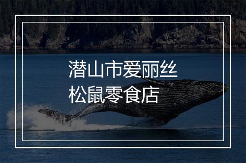 潜山市爱丽丝松鼠零食店