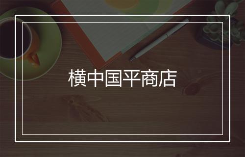 横中国平商店