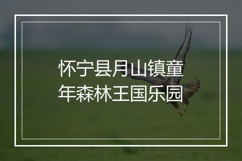 怀宁县月山镇童年森林王国乐园