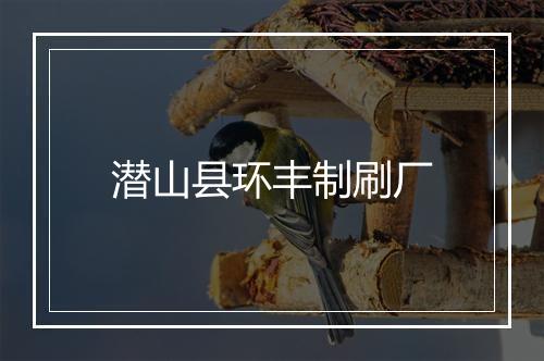 潜山县环丰制刷厂